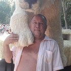 Zsolt, társkereső Pocsaj