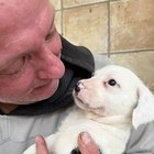 Imre, társkereső Gyál