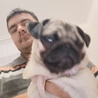 Pali, társkereső Nagykőrös