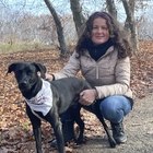 Kinga, társkereső Marosvásárhely