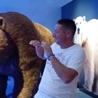 Ferenc, társkereső Lövéte