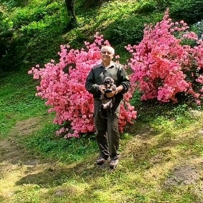 József, társkereső Zalaegerszeg