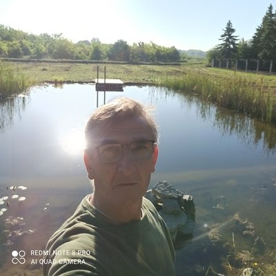 Zsolt, társkereső Szigetszentmiklós