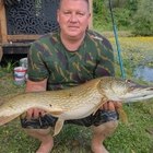 Csabi, társkereső Salgótarján