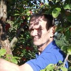 József, társkereső Szeged