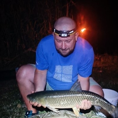 Zsolt, társkereső Marosvásárhely