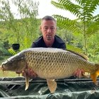 Pit, társkereső Aranyosgyéres