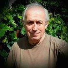 Csaba, társkereső Székesfehérvár