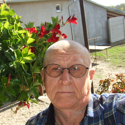 Flori, társkereső Dorog