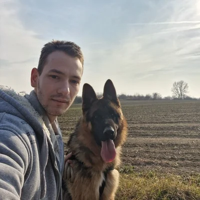 Tamás, Párkány