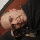 Zsolt, társkereső Győr