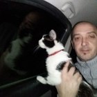 Etele, társkereső Marosvásárhely