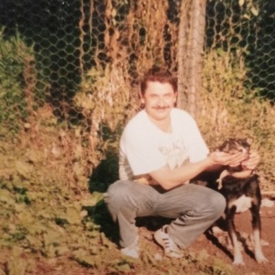 Laci, társkereső Brassó