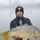 Dávid, társkereső Nemesrempehollós