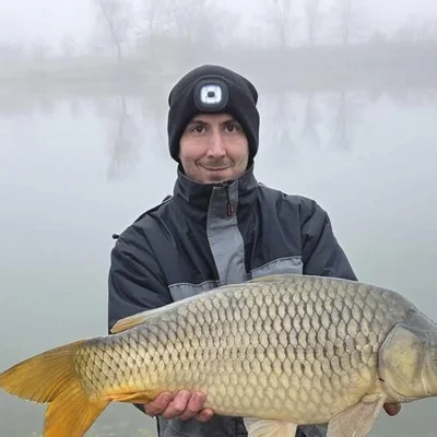 Dávid