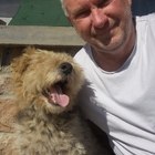 Farkas, társkereső Kám