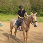 Sándor, társkereső Kaposvár