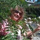 Eszti, társkereső Győr