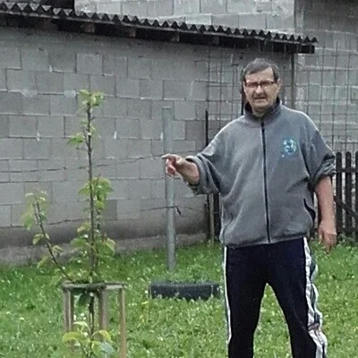 István, Ózd