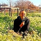 Attila, társkereső Agde