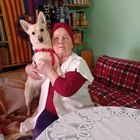 Erzsébet, társkereső Sárospatak