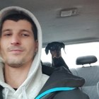 Norbert, társkereső Tatabánya