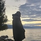 Atessz, társkereső Ecser