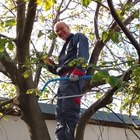 Béla, társkereső Kunadacs