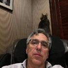 Arnold, társkereső Budapest