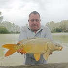 Otto, társkereső Baja