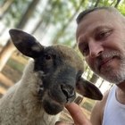 Péter, társkereső Nagykáta