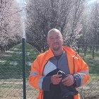 Csaba, társkereső Madar