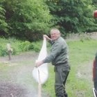 Dezso, társkereső Dunaszerdahely