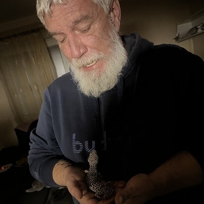 Csaba, társkereső Albár