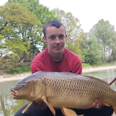 Richard, Győr