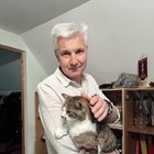 Gabor, társkereső Debrecen