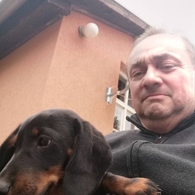 Tibor, társkereső Bácsgyulafalva
