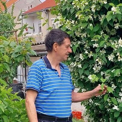 Sándor, Barcs