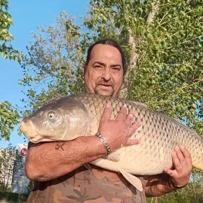 Jozsef