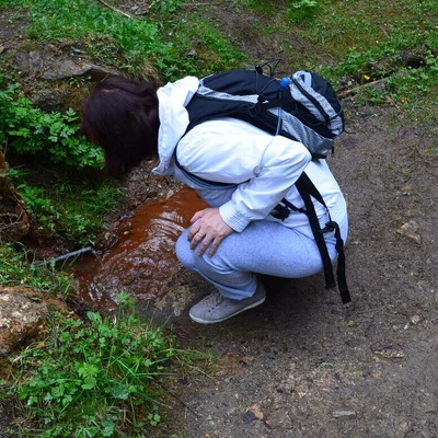 Tavaszihajnal
